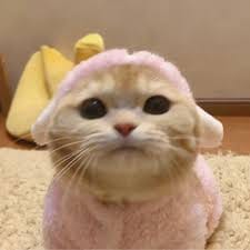 Hoàng Văn Thụ avatar